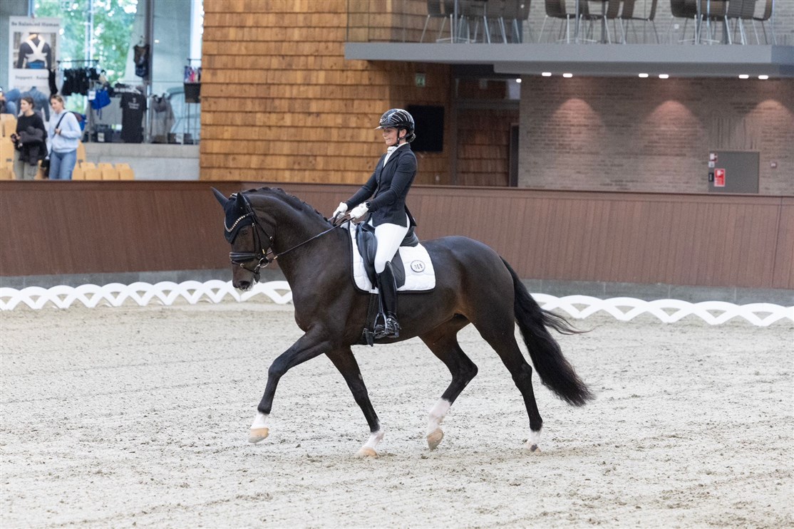 <center><small><b>Vinder af Mellemrunde Øst med 85,40 % og deltager ved Finalen i
PAVO og Dansk Rideforbunds Championat for Ungheste 2023</small></b>
<i><small><small><small>CS Nabiha</i></center></small></small></small>